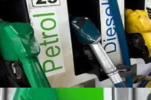 CMP suggests Petrol and d