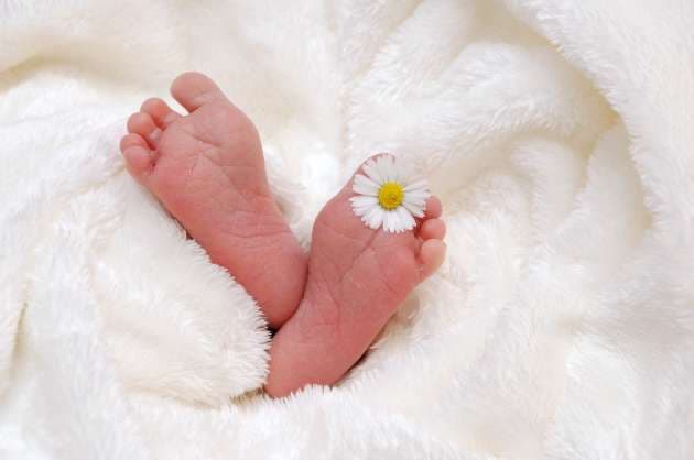 Attapadi a  paradise for politicking   as infant deaths continue unabated