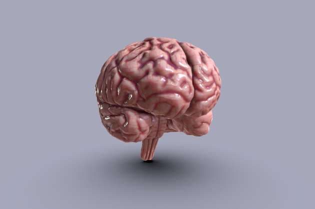 Delete Button of the Brain