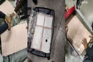 Woman held at IGI for smuggling cocaine of Rs 43 2 cr