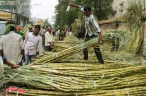 2 year moratorium for weak sugar mills as per guidelines to restructure SDF loans