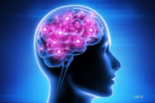 Study reveals link between brain cell development  schizophrenia risk