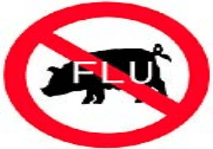 Swine flu deaths cross 250 mark in Rajasthan