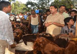 Hunger Strike for beef merchants?