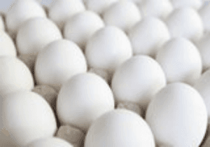 Egg white can help make anti-bacterial bioplastic