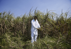 Unseasonal rain kills seven across India; damages crops