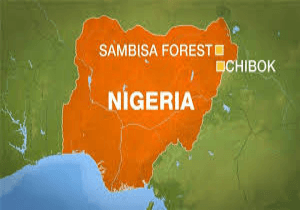 Nigerian forces rescue about 300 women