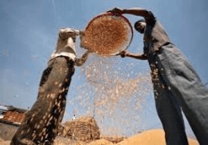 SC says no to PIL questioning food security Ordinance