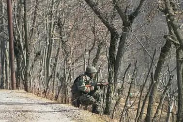 Large number of militants