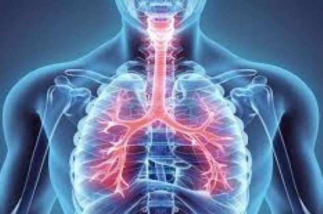Asthmatics no higher risk of dying from Covid  Study