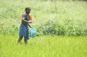 Govt is procuring crops at 1 5 times of MSP  Sitharaman