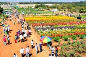 Over 16L farmers interacted with experts in five days  IIHR