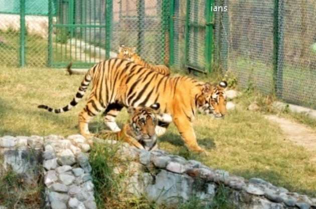 Central Zoo Authority gives approval for TN s fifth Zoo