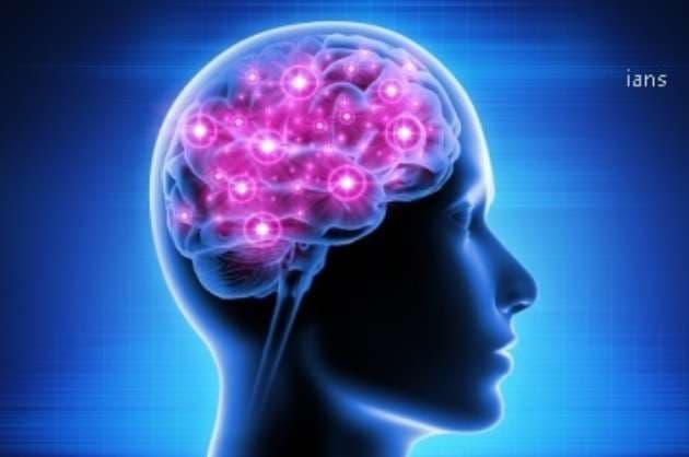 Ebola virus can hide in brain  recur even after treatment  Study