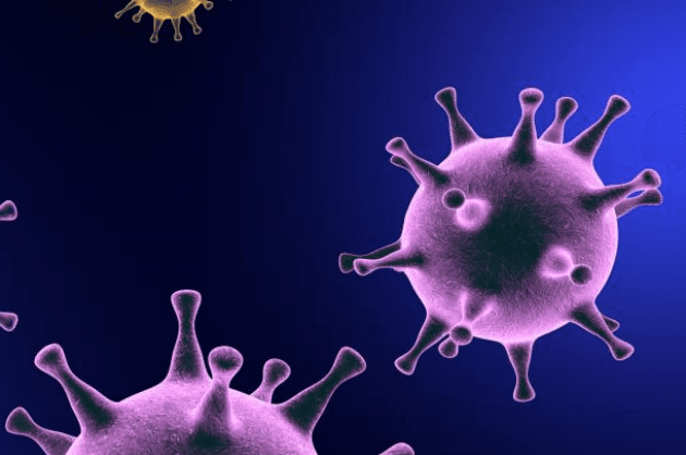 Coronavirus cases in Hary
