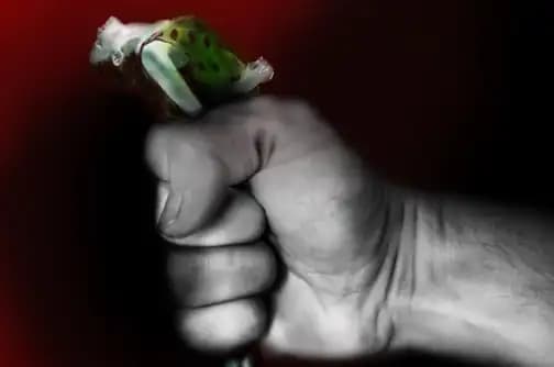domestic abuse awareness