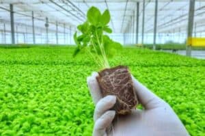 AI could play key role in India s growth in agriculture  Report