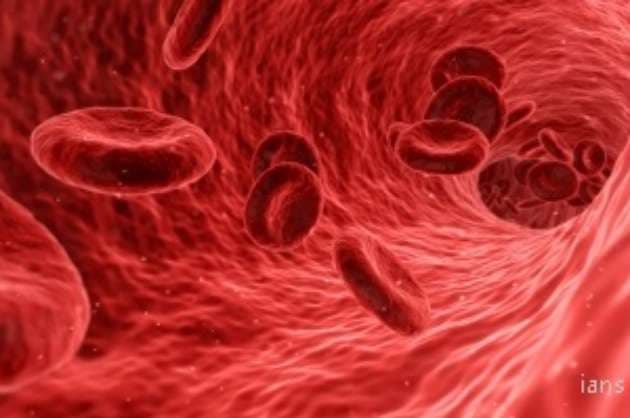 Lung diseases causing bacteria thrive on red blood cells