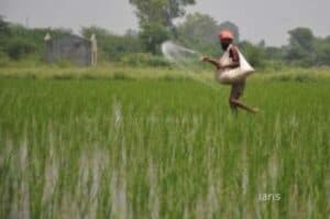 Ukrainian crisis to push up fertiliser prices  govt subsidies