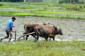 As target date approaches  doubling of farmers  incomes still a distant dream