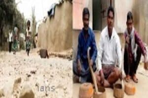 Ancestral profession of snake charming losing shine in Jharkhand village