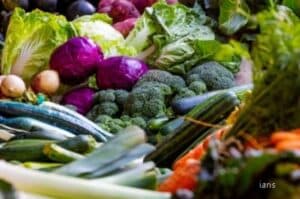 War leaps world food commodity prices  FAO