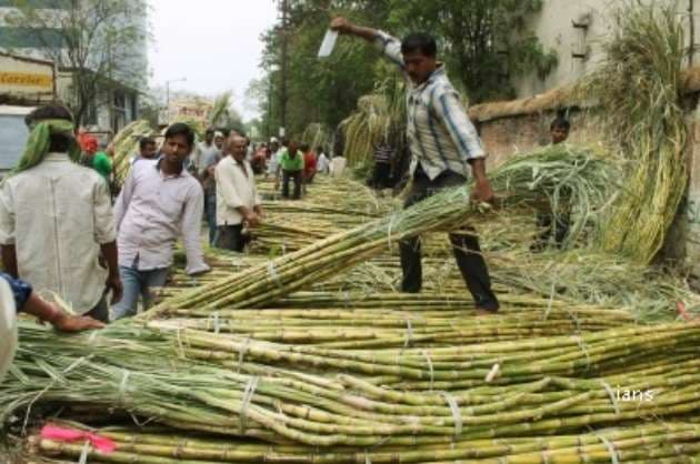 India becomes largest producer  second largest exporter of sugar