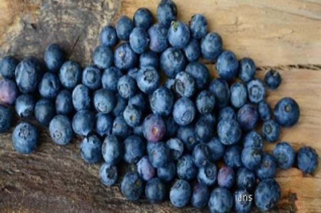 Eating blueberries can lower BP  cut heart disease risk