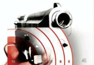Two Delhi brothers shot dead in road rage