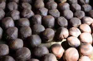 UP sets new record in jaggery production this year