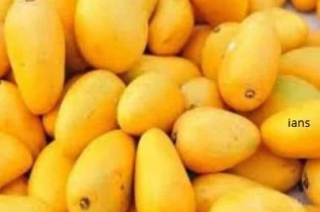 Kisan Rail  carrying mangoes chugs to Delhi from K taka