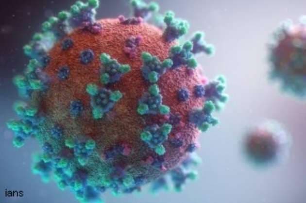 How viruses get their names