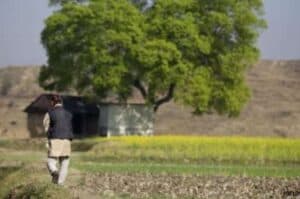 Economic activities in rural India fared better in lockdown 2 0  Survey