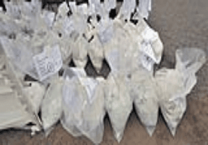 Mumbai police crackdown on crack