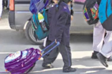 Trolley bags better than