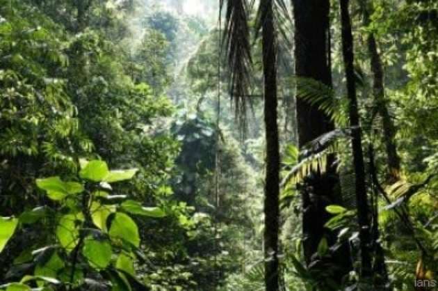 New global framework to manage nature through 2030