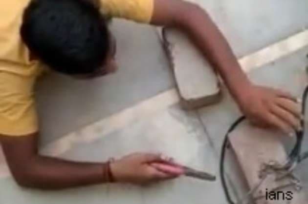 Power thief s snake crawl to cut wires caught on video