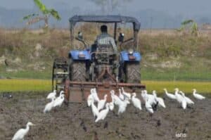 Agriculture   construction equipment makers call for action on fake product trading