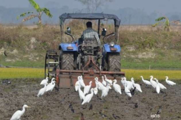 Agriculture   construction equipment makers call for action on fake product trading