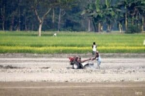 33 40 lakh Ha increase in kharif sowing area over normal