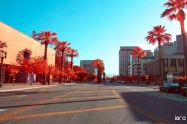 Food truck favourites in California