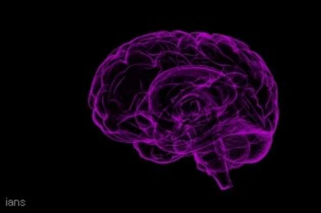 Two brain dead give life to eight in PGI Chandigarh