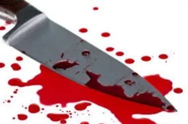 34 year old man stabs bus