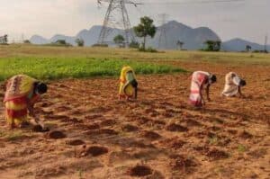 New  4 5mn Walmart Foundation grants to empower farmers in India