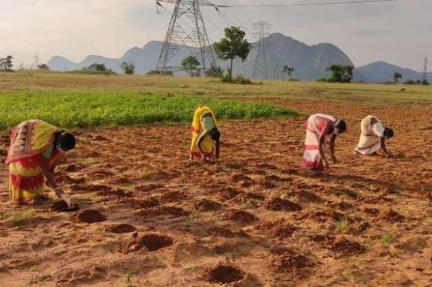 New  4 5mn Walmart Foundation grants to empower farmers in India