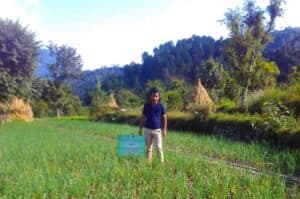Area under kharif crops reaches new record of 1 095 lakh hectare