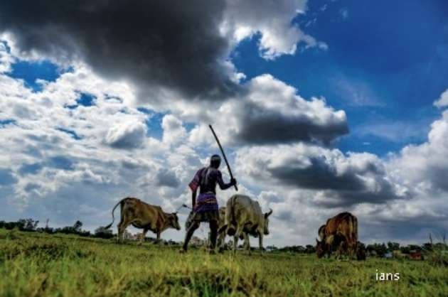 T gana farmers to get personalised crop insurance products