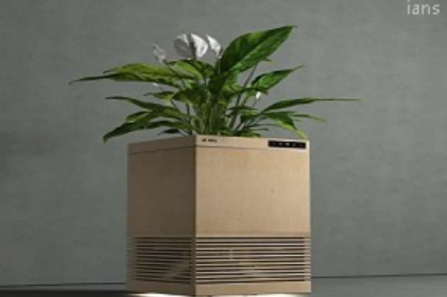 Indian scientists develop plant based air purifier