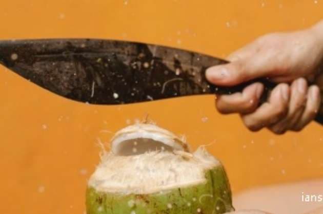 Coconut a magic staple ingredient in most households