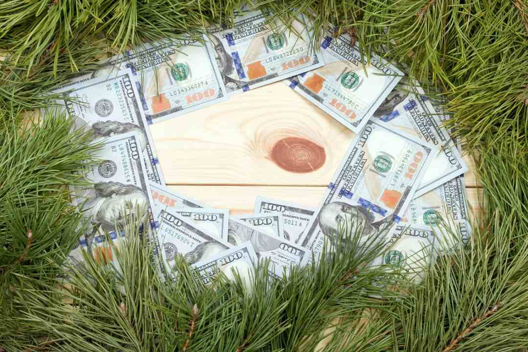 The RBI's Groundbreaking Decision to Open Doors for Foreign Investments in Green Bonds Speeds Up India's Environmental Revolution
